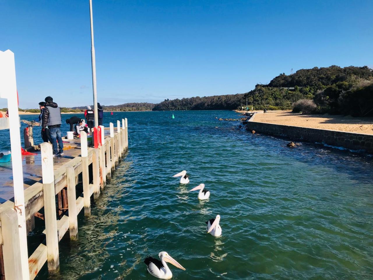 Black Swan Motor Inn Lakes Entrance Ngoại thất bức ảnh